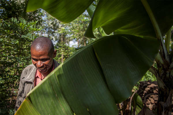 Mugendi proudly shows us around his shamba. He received this plot of land as a blessing from a random church attender.